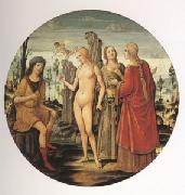Girolamo di Benvenuto The Judgment of Paris (mk05) oil on canvas